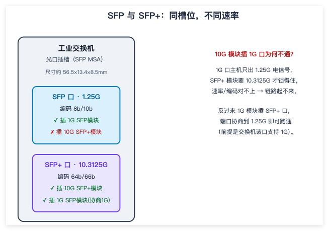 QQ_1787298791137 QQ_1787298791137